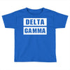 Delta Gamma Toddler T-shirt