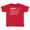 Feminism Noun Toddler T-shirt
