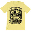 If Things Better 1987 Age Approach Magnificent T-Shirt