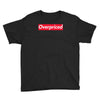 overpriced Youth Tee