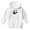 wtf panda Youth Hoodie