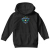 i accessorize with pet hair Youth Hoodie