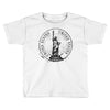 usa Toddler T-shirt