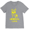 no drama llama (2) V-Neck Tee