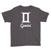 gemini zidiac Youth Tee