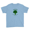 one cheer for broccoli Youth Tee