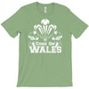 come on wales funny nations rugby T-Shirt