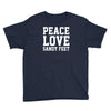 peace Love Youth Tee