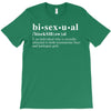 Bisexual Dictionary T-Shirt