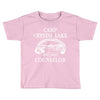 camp crystal lake counselor Toddler T-shirt