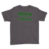 irish i were drunk Youth Tee