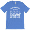this is what a cool grandma looks like T-Shirt
