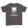 american pitbull terrier Youth Tee
