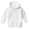 aperture laboratories Youth Hoodie