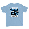 i may not be be perfect but my cat loves me Youth Tee