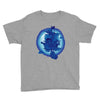 pirate owls Youth Tee
