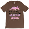 cool grandma saurus T-Shirt