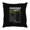 January Girl Facts Capricorn Throw Pillow