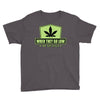 when they go low, we get high Youth Tee