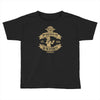 why would you put that on the internet Toddler T-shirt
