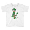organic pirate Toddler T-shirt