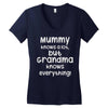 grandmas nannys Women's V-Neck T-Shirt