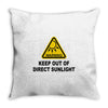 keep out of direct sunlight Throw Pillow