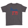keledai Youth Tee