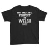 perfect welsh Youth Tee