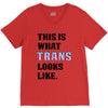 This is What Trans Looks Like V-Neck Tee