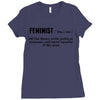 Feminist Noun Ladies Fitted T-Shirt