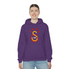 test Unisex Heavy Blend™ Hooded Sweatshirt