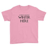 Winter (f80) Youth Tee