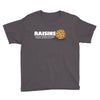 raisins ruin everything Youth Tee