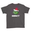 humbug grinch christmas Youth Tee