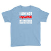 i'm not insane my mother Youth Tee