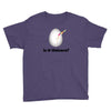 is it Unicorn Youth Tee
