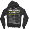 December Girl Facts Capricorn Zipper Hoodie