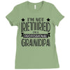 not retired but a professional grandpa Ladies Fitted T-Shirt