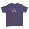 quebec nordiques hockey team Youth Tee