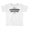 brett kavanaugh supreme court justice Toddler T-shirt