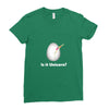 is it Unicorn Ladies Fitted T-Shirt
