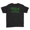 irish i were drunk Youth Tee