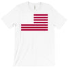 usa flag navy american T-Shirt