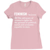 Feminism Noun Ladies Fitted T-Shirt