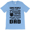 Some People Have To Wait a Lifetime To Meet Their Favorite Softball T-Shirt