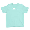 rope heart cat Youth Tee