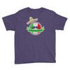 celebrate cinco de mayo Youth Tee