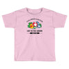 loot of the shroom Toddler T-shirt