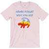 never forget T-Shirt